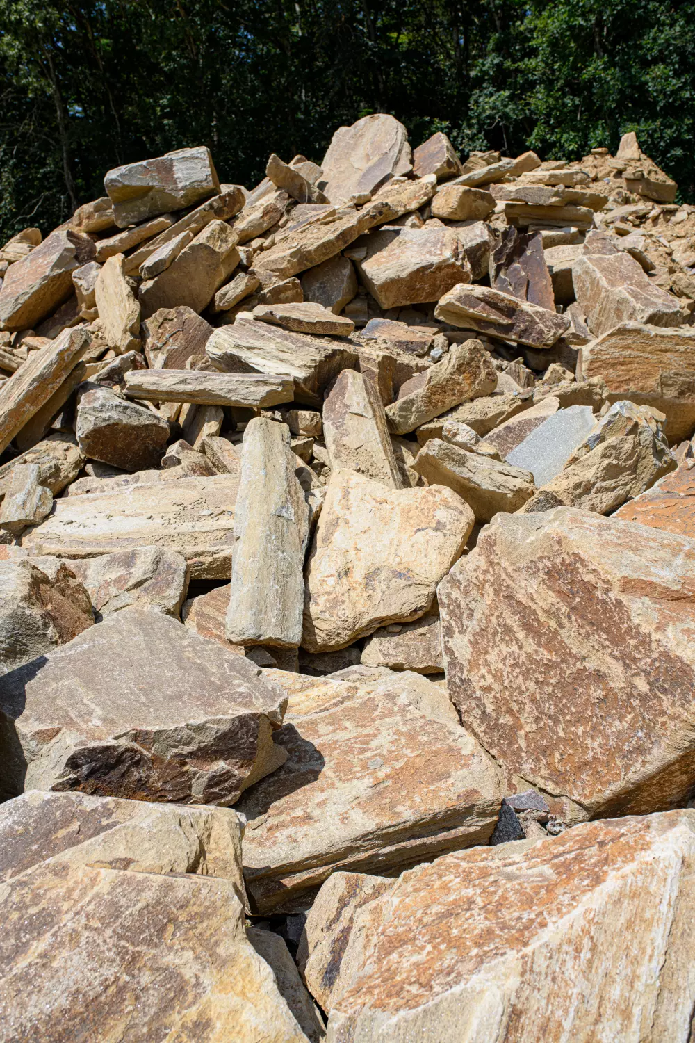 Blocs de pierre en gneiss