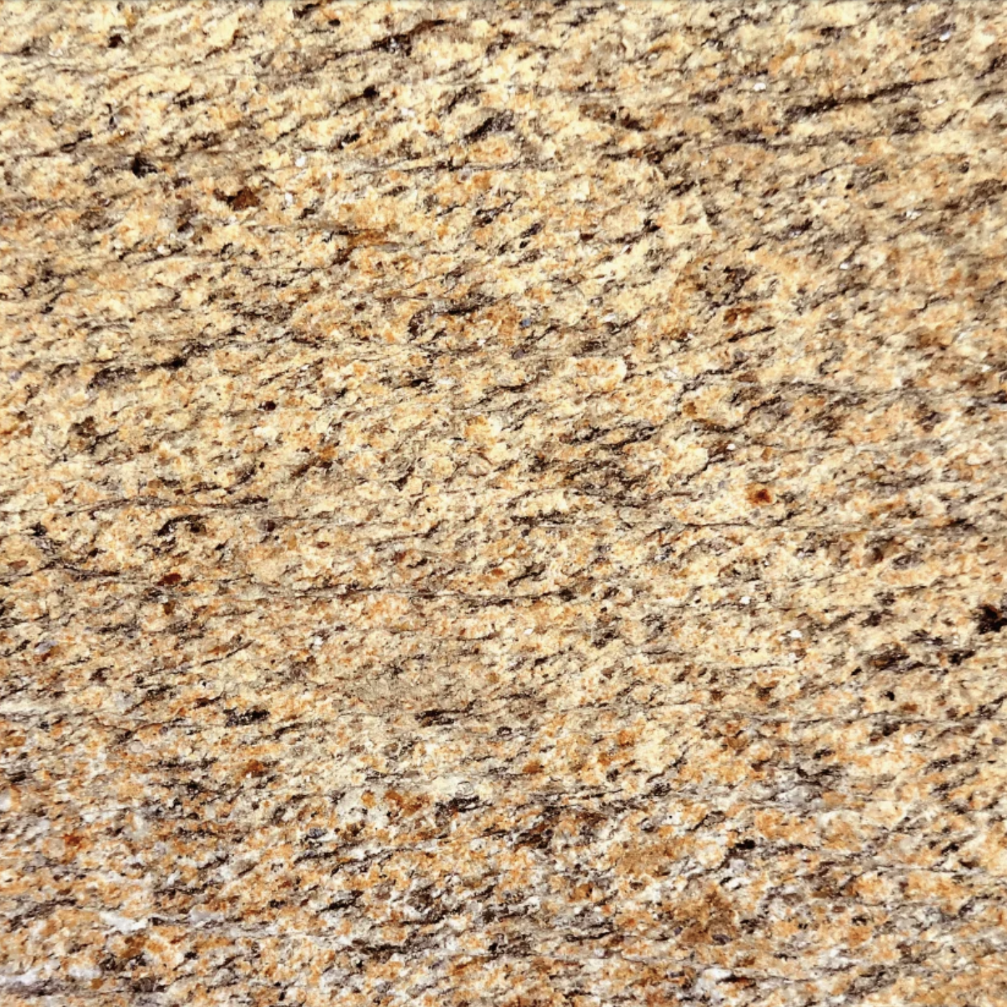 Elven beige