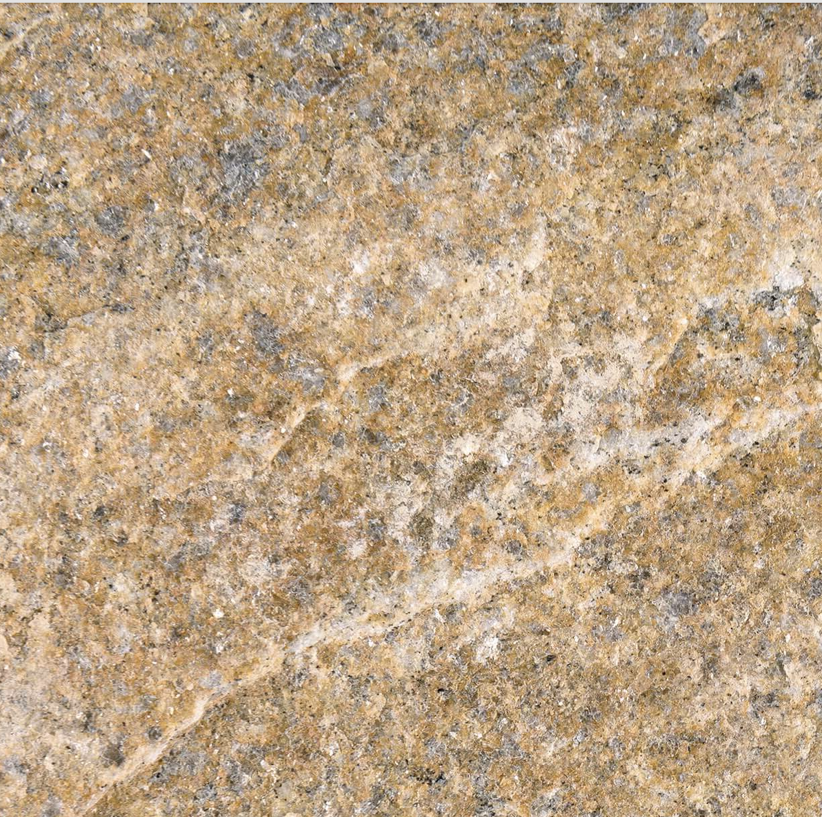 Gneiss beige rouillé